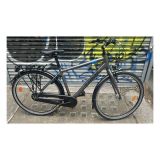 Trek L100 Hybrid Bike